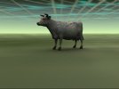 LW65-Ozone-Chem-Cow.jpg