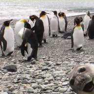 SmilinDoug