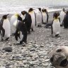 SmilinDoug