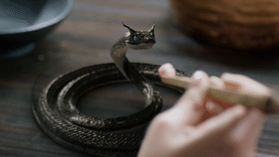 5171706d40f7f4ly1fbum3bwuymg20b4069kjm.gif