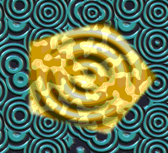 First.gif