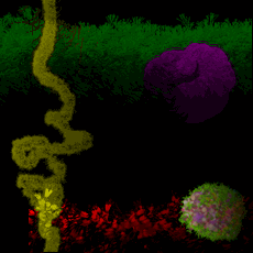 PDparticles.gif