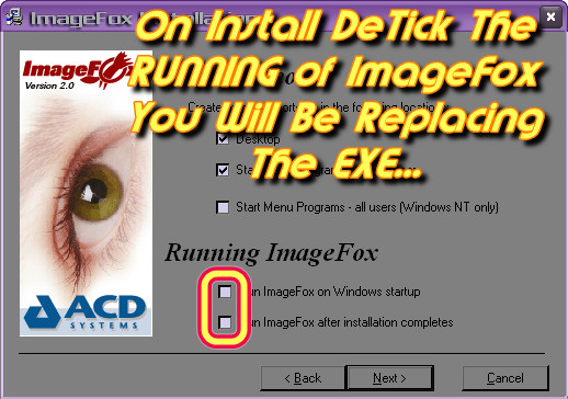 Image-Fox-A.jpg