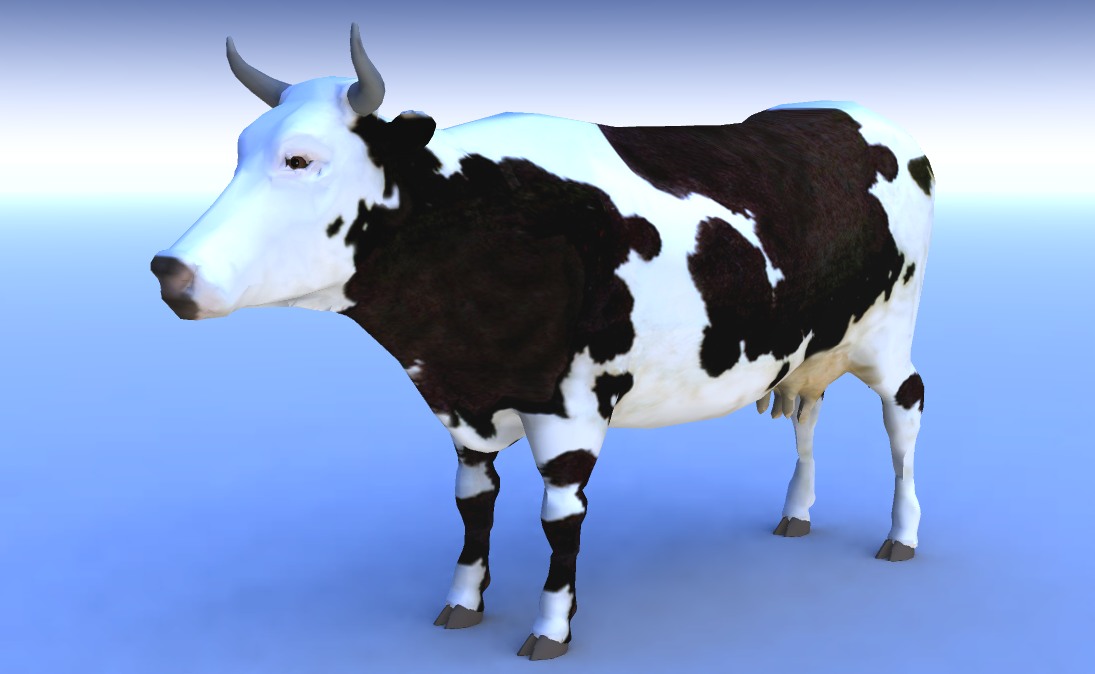 Cow.jpg