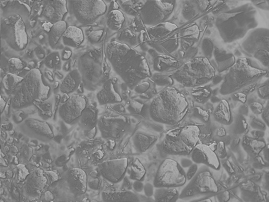 rocks-jpg-SPEC.png
