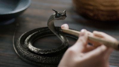 4657166d40f7f4ly1fbum3fucemg20b40691kz.gif