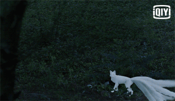 3251956d40f7f4ly1fcrbu06zi9g209q05mx6r.gif