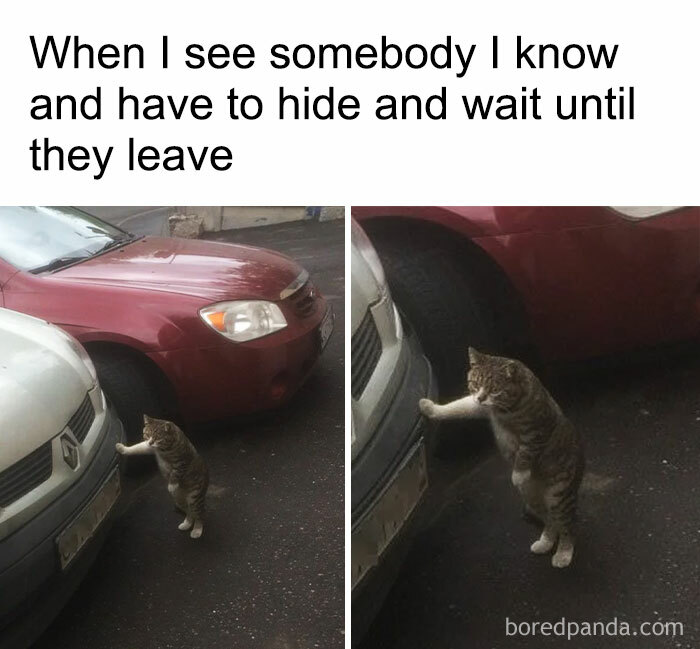 funny-jokes-antisocial-memes-7.jpeg