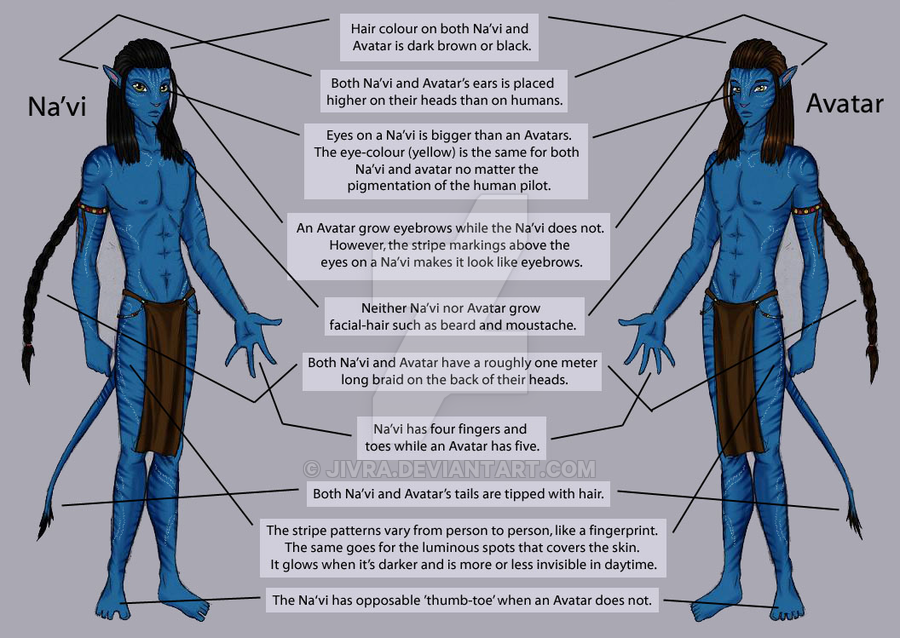 na_vi___avatar_guide__basics_by_jivra-d2gzz4h.png